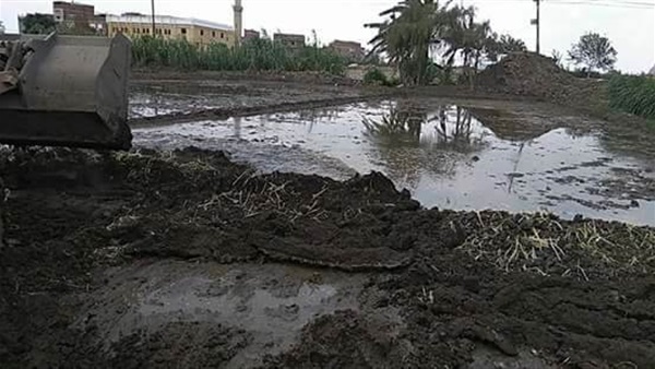 إزالة 3 مشاتل أرز