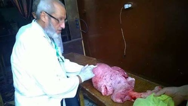 حملات بيطرية بالدقهلية