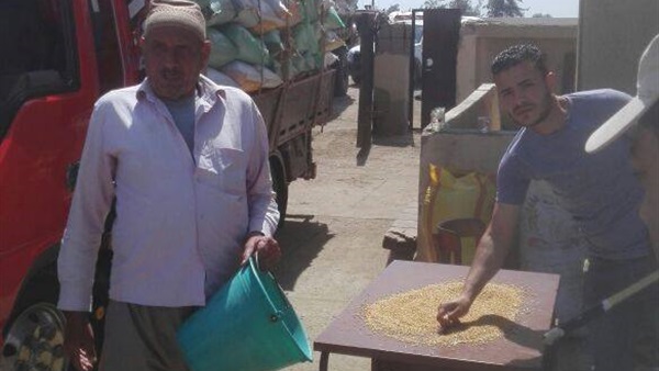 توريد القمح