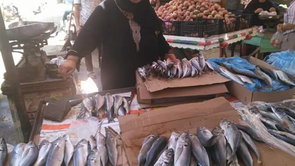 حملة تموينية بالدقهلية