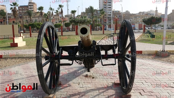 المواطن