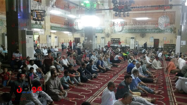المواطن