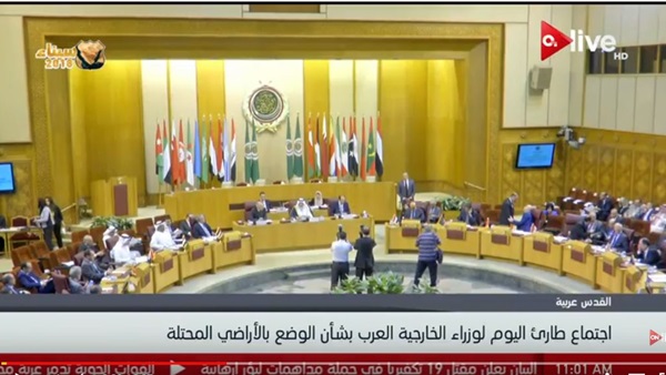 جامعة الدول العربية
