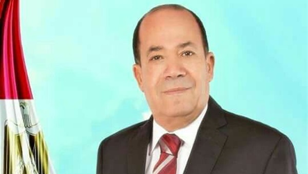 النائب محمد الزينى