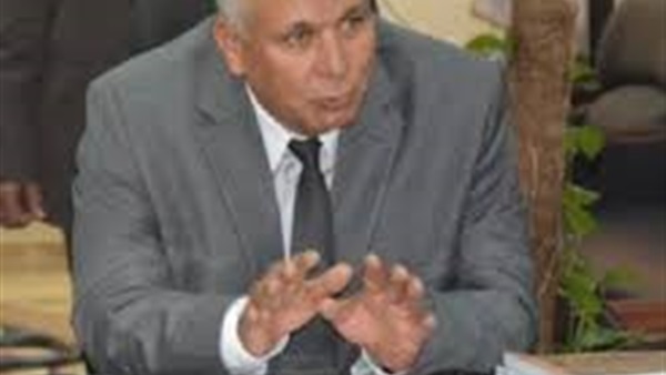 محافظ الوادي الجديد
