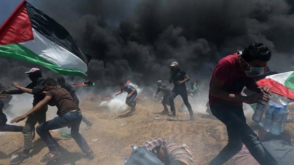 فلسطين