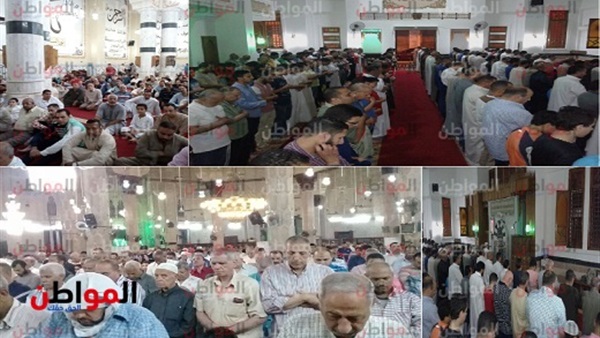 المواطن