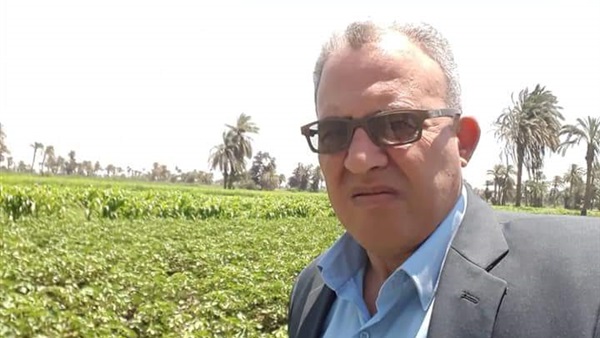 وكييل زراعة بني سويف