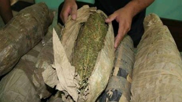 لفافة بانجو