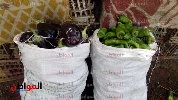 اسعار الفواكه والخضروات-السويس