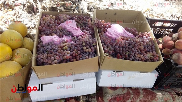أسعار الفاكهة