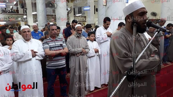 المواطن