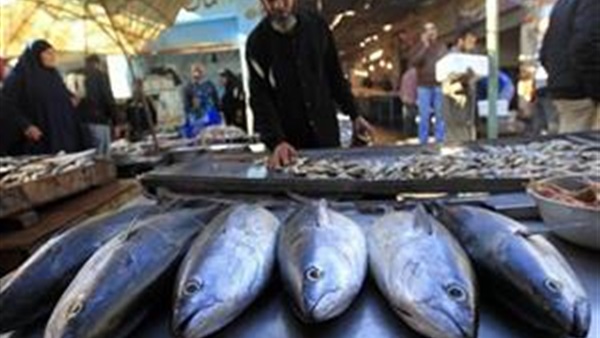 أسعار الأسماك اليوم