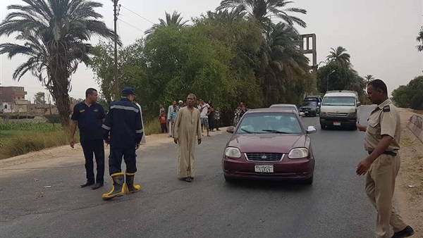 المواطن