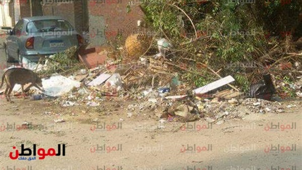المواطن