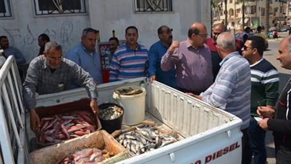 المضبوطات