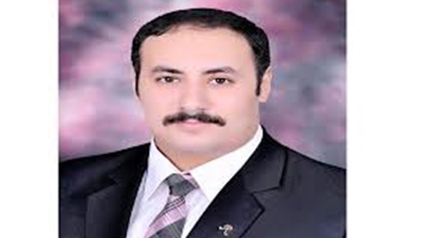 ريمون نبيل خبير