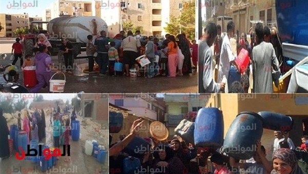 المواطن