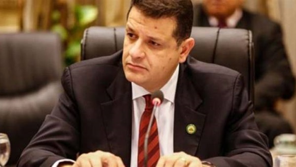 طارق رضوان رئيس خارجية