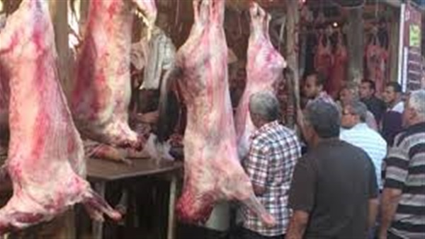 أسعار اللحوم