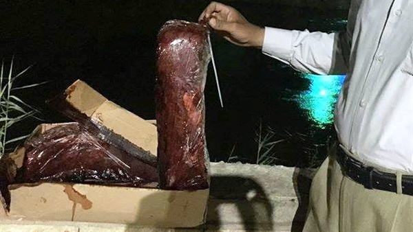 حملات تموينية