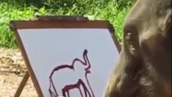 فيل يرسم صورة