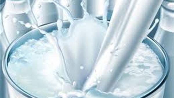 أسعار الألبان