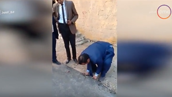محمد عمارة عضو مجلس