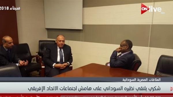 سامح شكري ونظيره