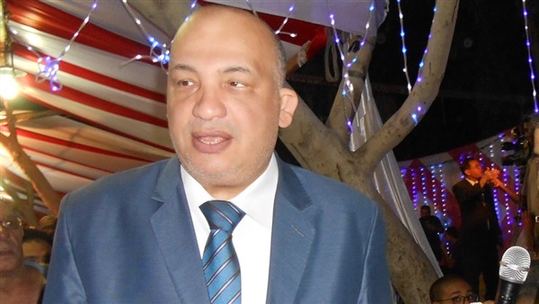 د. محمد وهدان استاذ