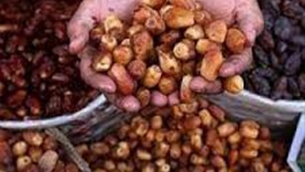 أسعار البلح