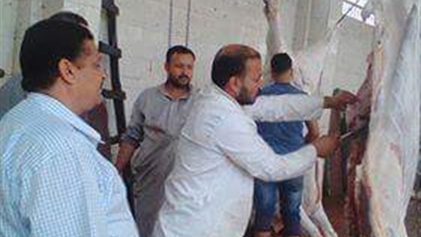 الحملة الصحية