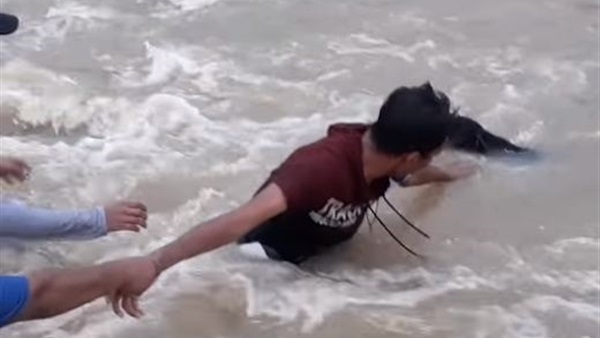 انقاذ كلب