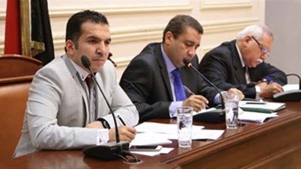 لجنة المشروعات الصغيرة