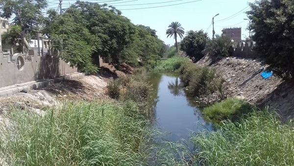 الترعه