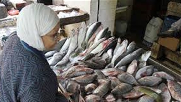 أسعار الأسماك بمحافظة