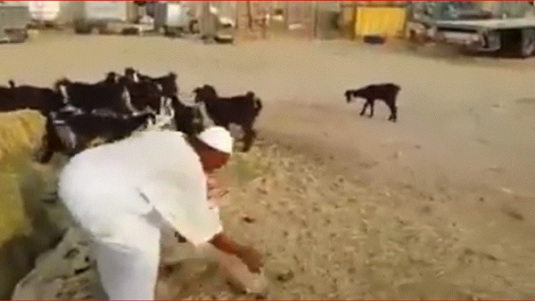 عيد الفطر 2018