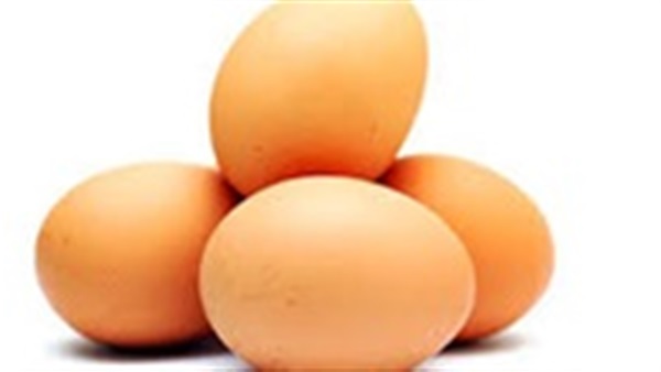 اسعار البيض