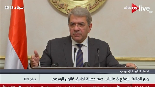 عمرو الجارحي وزير