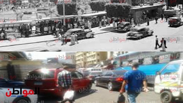 المواطن