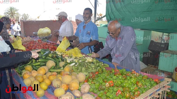 اسعار الخضروات