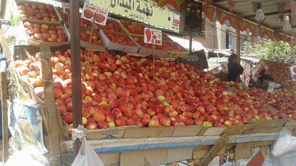 صورة من الشارع