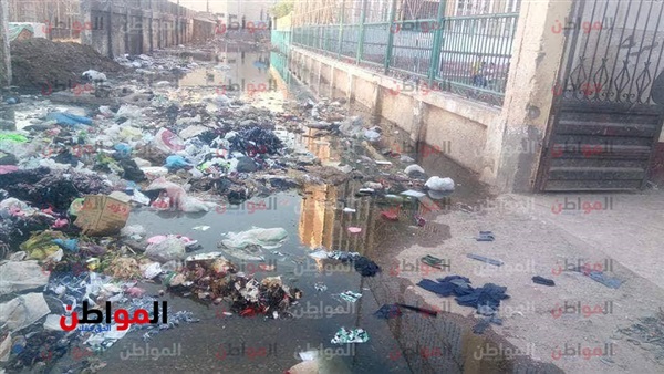 محافظة الغربية -المحلة