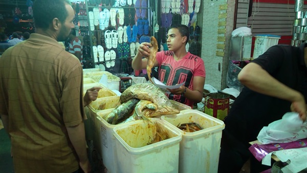أسعار الفسيخ في الوادي