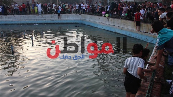 نافورة مصطفى محمود