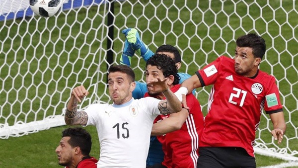 طارق حامد