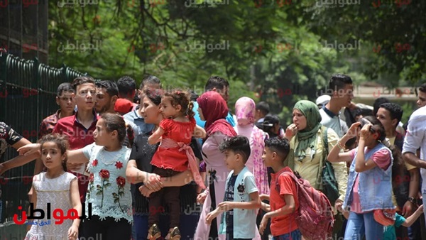 صورة للأطفال فى حديقة