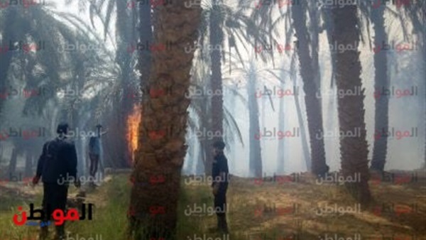 حريق قرية الموشية-الوادي