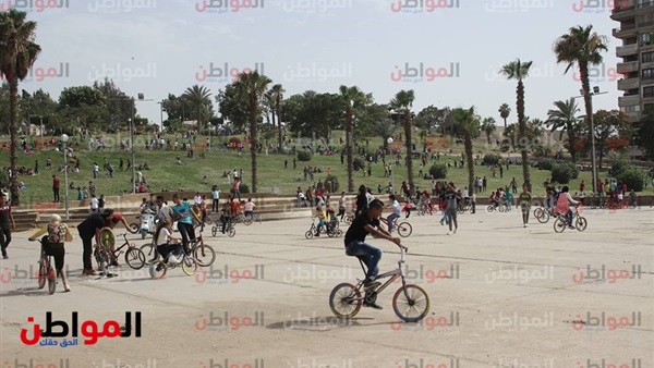 المواطن