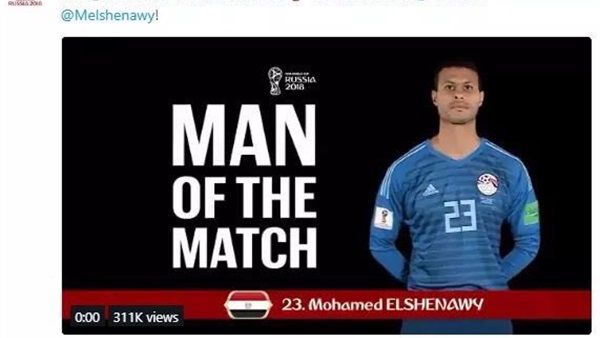 محمد الشناوي